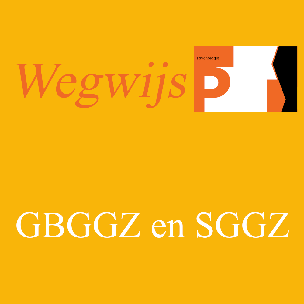 wegwijs-gbggz-en-sggz-de-psychologiewinkel-online-speciaalzaak-in